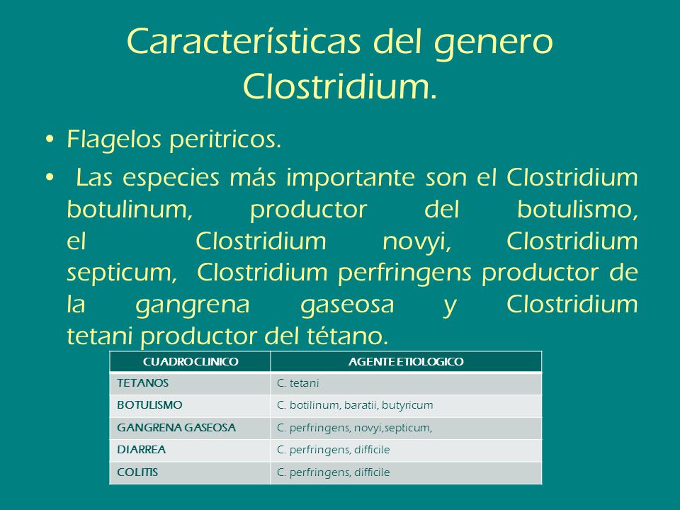 como se transmite la gangrena gaseosa como se transmite la gangrena gaseosa